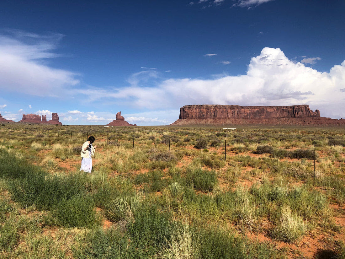 It's no wonder we humans are natural collectors.