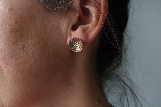 cove earrings - bronze