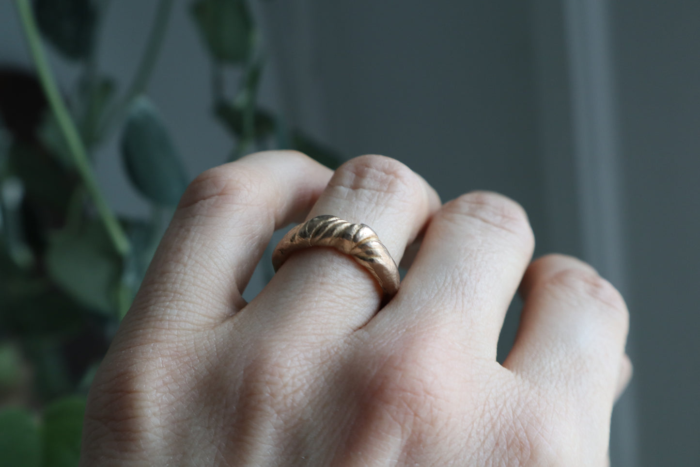 Vienne ring ~bronze~